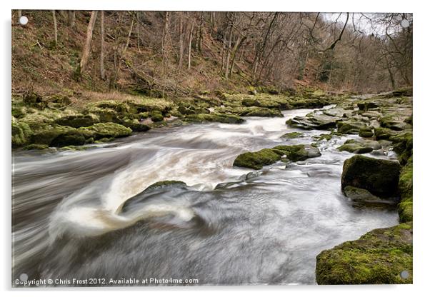Power of the Strid Acrylic by Chris Frost