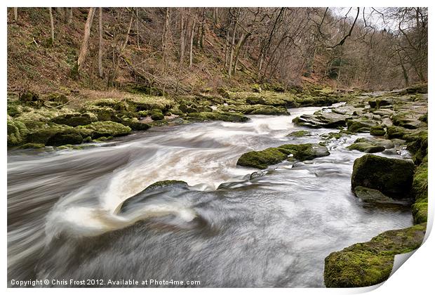 Power of the Strid Print by Chris Frost