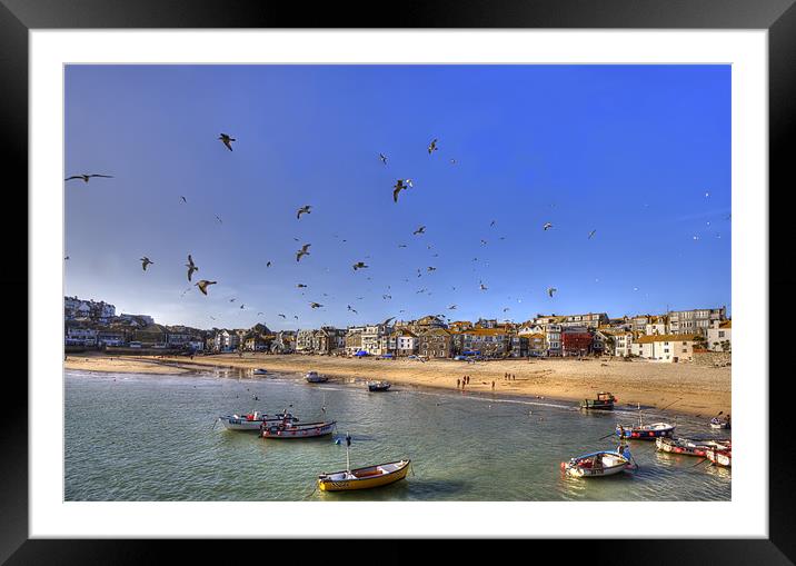 Seagulls Invade St Ives Cornwall Framed Mounted Print by Mike Gorton