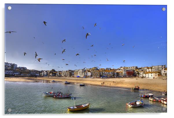 Seagulls Invade St Ives Cornwall Acrylic by Mike Gorton