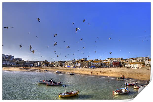 Seagulls Invade St Ives Cornwall Print by Mike Gorton