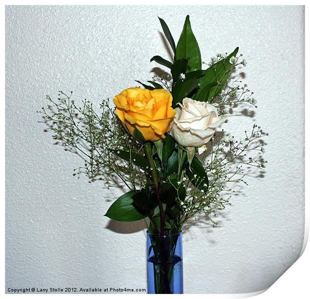 White and yellow Roses Print by Larry Stolle