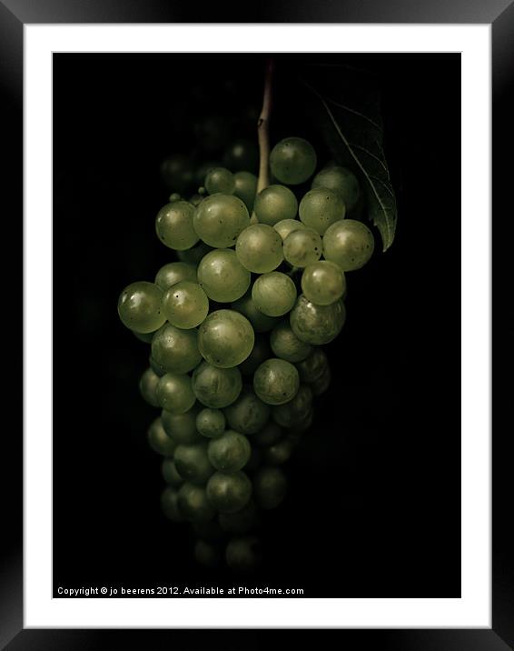grapes Framed Mounted Print by Jo Beerens