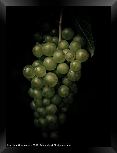 grapes Framed Print by Jo Beerens
