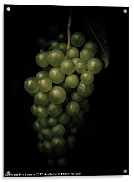 grapes Acrylic by Jo Beerens