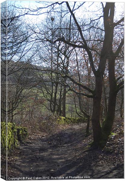 Woodland path between Golcar and Linthwaite Canvas Print by Paul Oakes