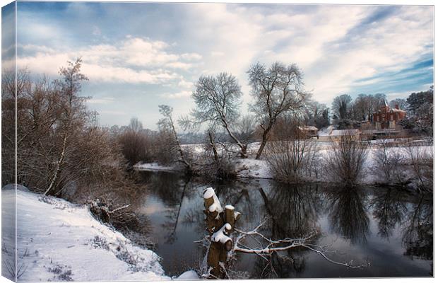 A Wintery Surprise Canvas Print by Alan Walters