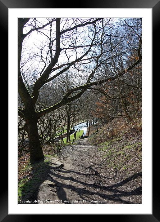 Woodland View - Huddersfield Narrow Canal Framed Mounted Print by Paul Oakes