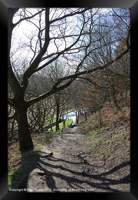 Woodland View - Huddersfield Narrow Canal Framed Print by Paul Oakes