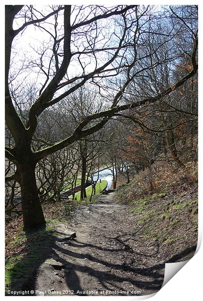 Woodland View - Huddersfield Narrow Canal Print by Paul Oakes
