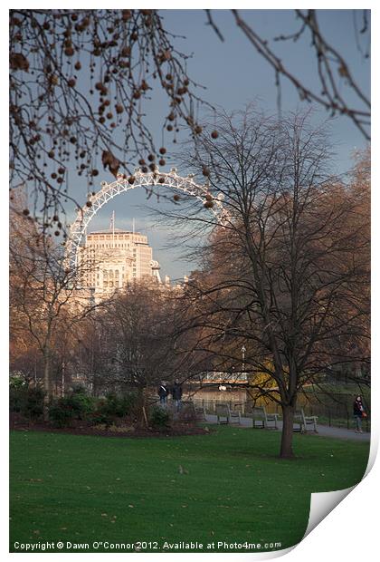St. James's Park and the London Eye Print by Dawn O'Connor