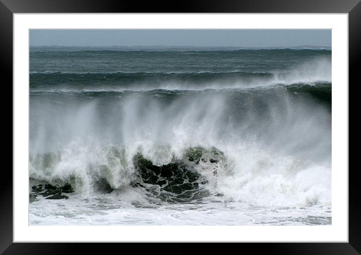 Swell today Framed Mounted Print by barbara walsh