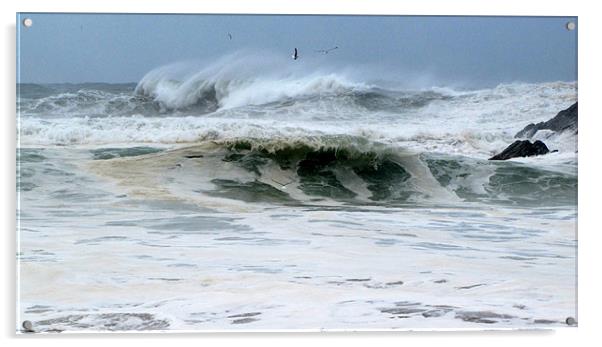 Clogher Beach Acrylic by barbara walsh