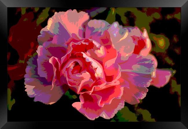 Pink flower Framed Print by Milena Barczak