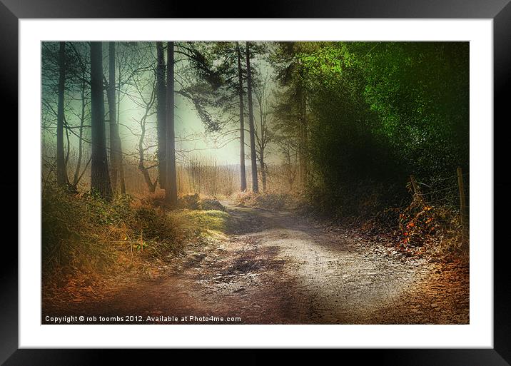 THE PATH Framed Mounted Print by Rob Toombs