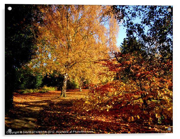 AUTUMNAL COLOURS Acrylic by David Atkinson