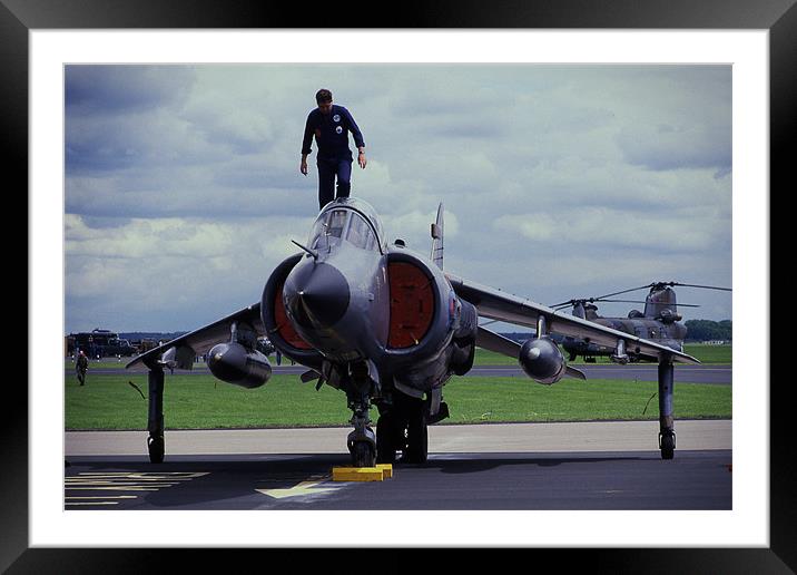 Harrier ready for action Framed Mounted Print by Paul Holman Photography