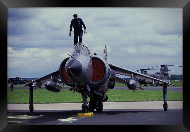 Harrier ready for action Framed Print by Paul Holman Photography