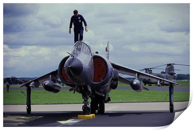 Harrier ready for action Print by Paul Holman Photography