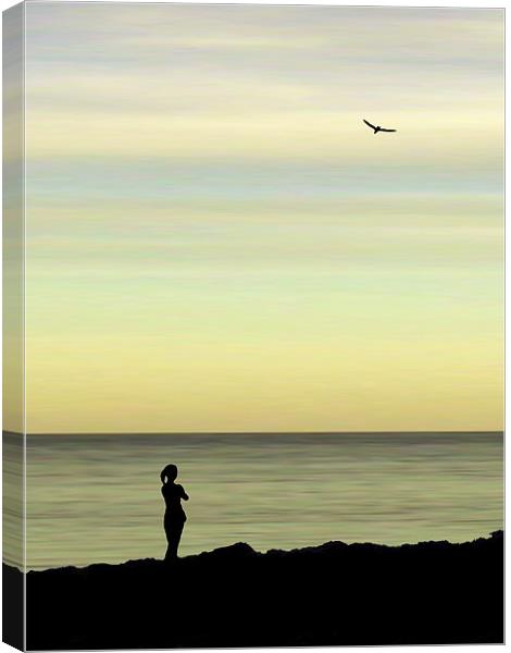 the girl and the seagull Canvas Print by Heather Newton