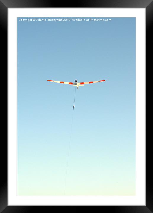 free flight Framed Mounted Print by Jolanta  Raczynska