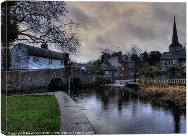 River at Eynsford Canvas Print by Neal P