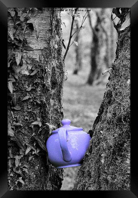 Purple Teapot Framed Print by Jon Short