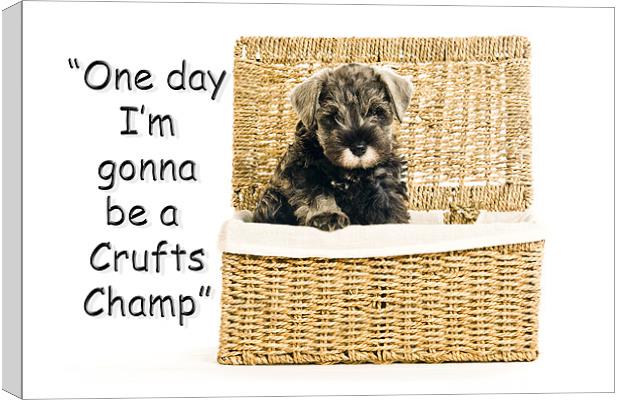 Riley  becomes a champion at crufts 2012 Canvas Print by Eddie Howland