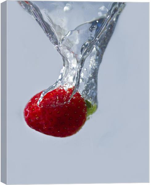 Strawberry Drop. Canvas Print by paul cowles