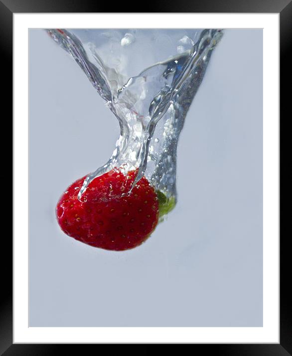 Strawberry Drop. Framed Mounted Print by paul cowles