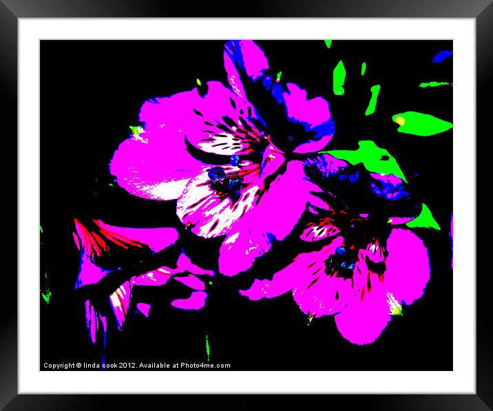 thoroughly modern lily Framed Mounted Print by linda cook