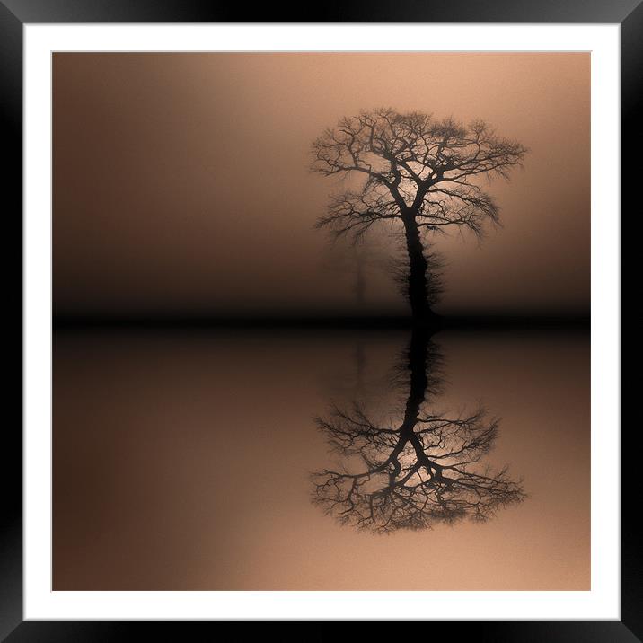 Sentinels Framed Mounted Print by Natures' Canvas: Wall Art  & Prints by Andy Astbury