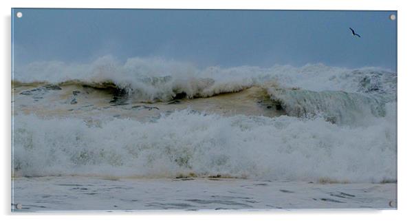 Waves Acrylic by barbara walsh