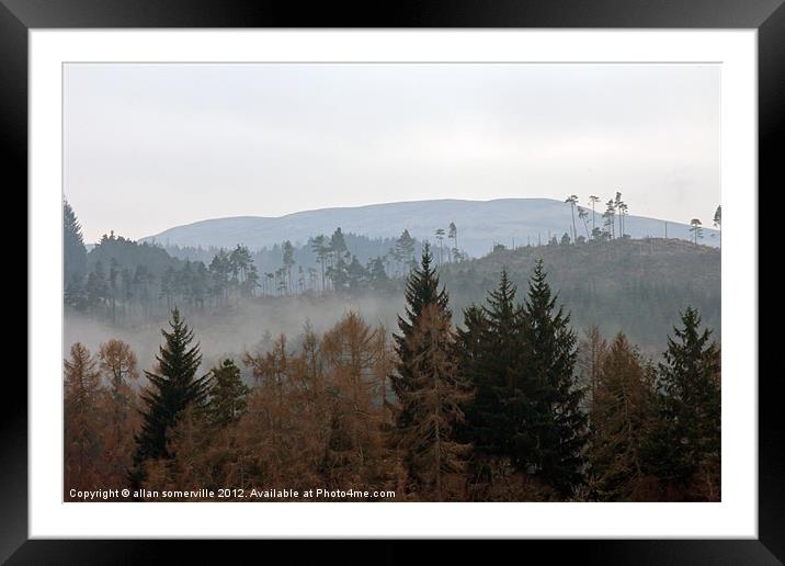 tree line Framed Mounted Print by allan somerville