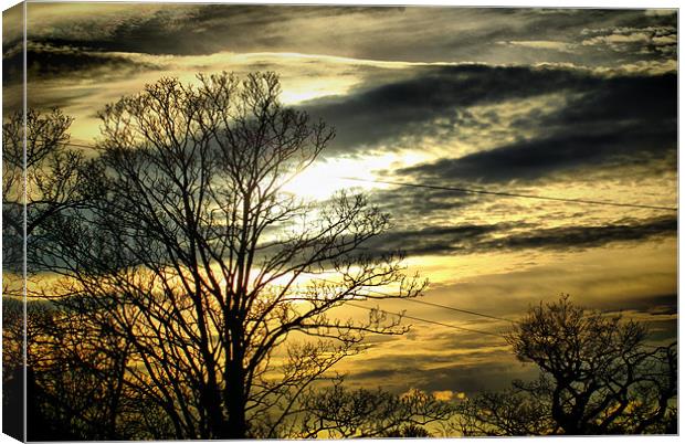 Cloudy day Canvas Print by Maria Tzamtzi Photography