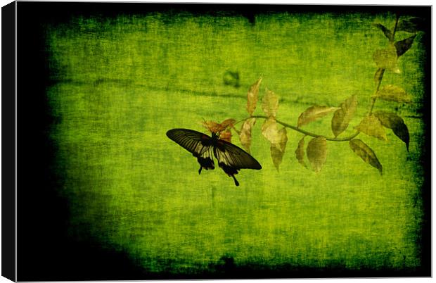Green Canvas Print by Maria Tzamtzi Photography