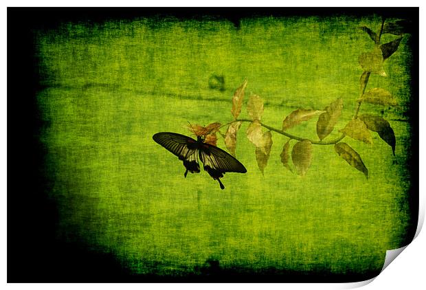 Green Print by Maria Tzamtzi Photography