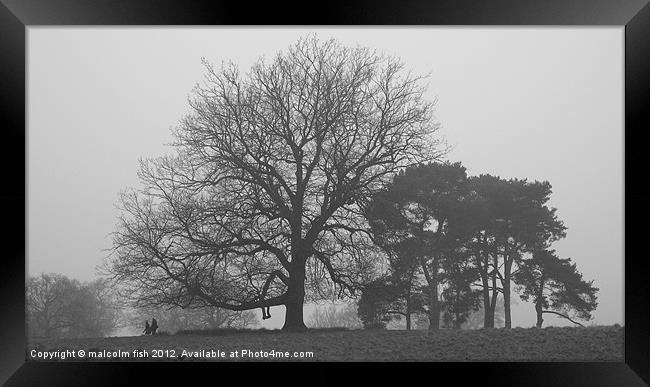 STROLL IN THE PARK Framed Print by malcolm fish