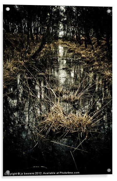 peat land Acrylic by Jo Beerens