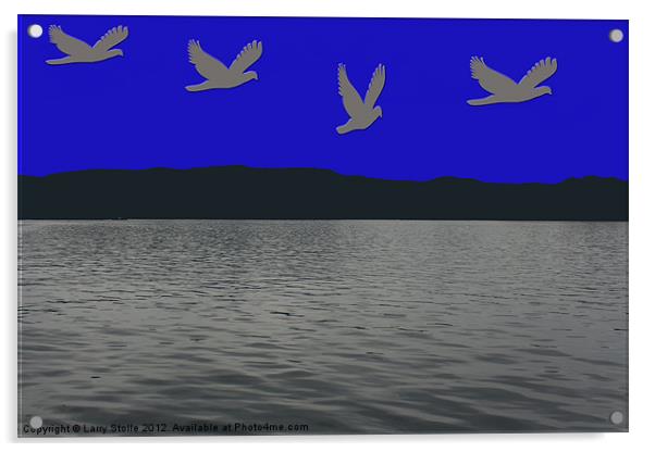 Bird Flying Over the Water Acrylic by Larry Stolle