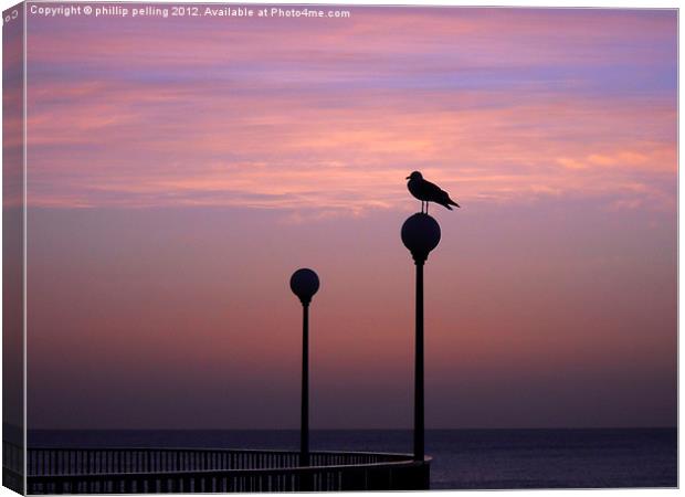 Seagull silhouette Canvas Print by camera man