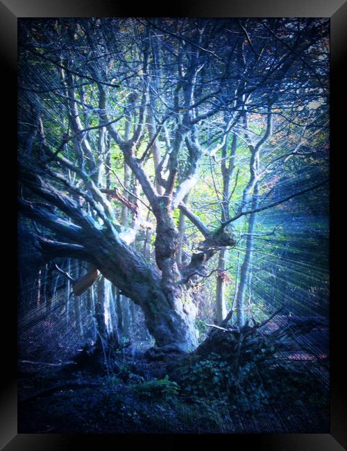 Light Stricken Moody Blues. Framed Print by Heather Goodwin