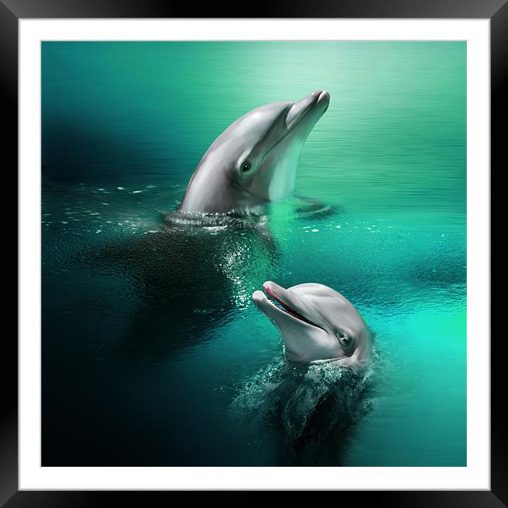 Playful Dolphins Framed Mounted Print by Julie Hoddinott