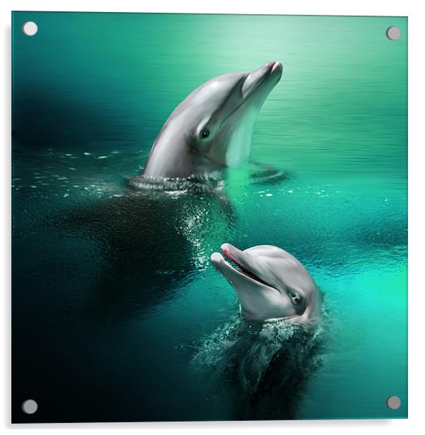 Playful Dolphins Acrylic by Julie Hoddinott