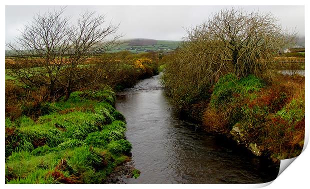 Lispole River Print by barbara walsh