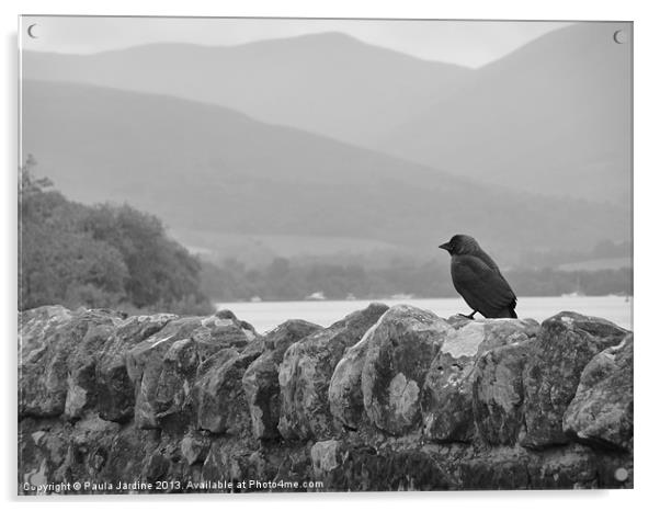 Black & White at Loch Lomand Acrylic by Paula Jardine