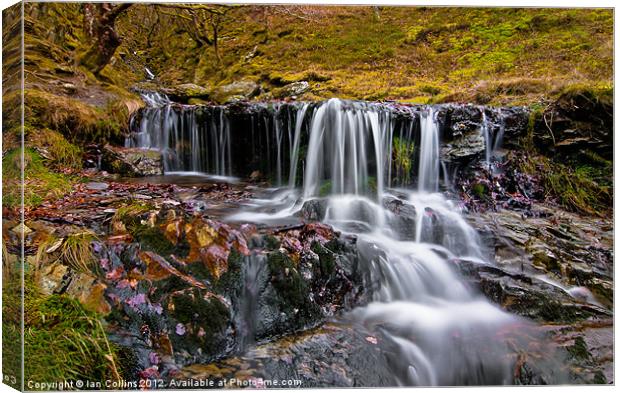 Elan Valley Waterfall. Canvas Print by Ian Collins