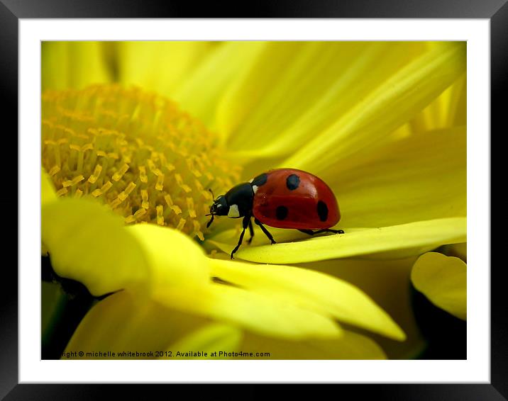 7 spotted Ladybird Framed Mounted Print by michelle whitebrook
