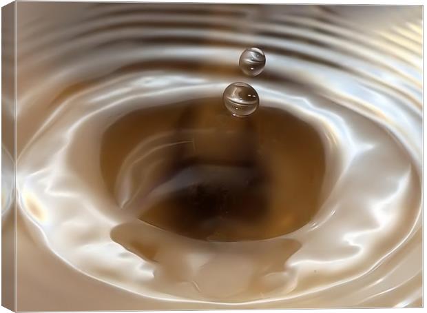 Black Hole Water Droplet Canvas Print by Mike Gorton