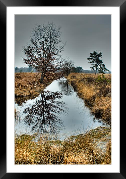 on a grey day Framed Mounted Print by Jo Beerens